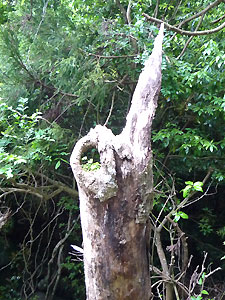 d0023725_1710587.jpg