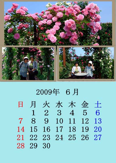 f0147025_8194624.jpg