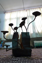 d0042827_19473349.jpg