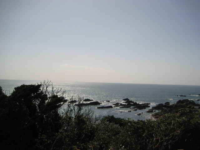 d0147727_2046121.jpg
