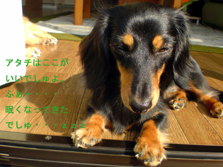 c0117831_2048302.jpg