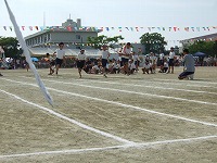 e0069234_7385457.jpg