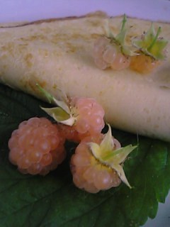 c0056437_1115781.jpg