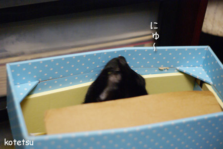 c0132438_221172.jpg