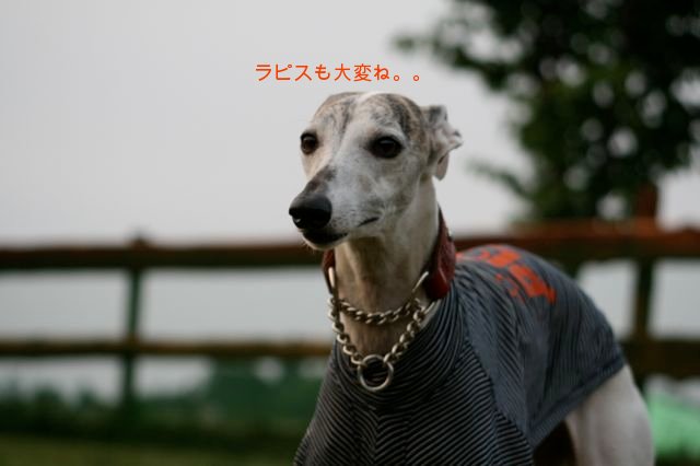f0039538_2281369.jpg