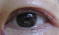 a0114842_1073220.jpg