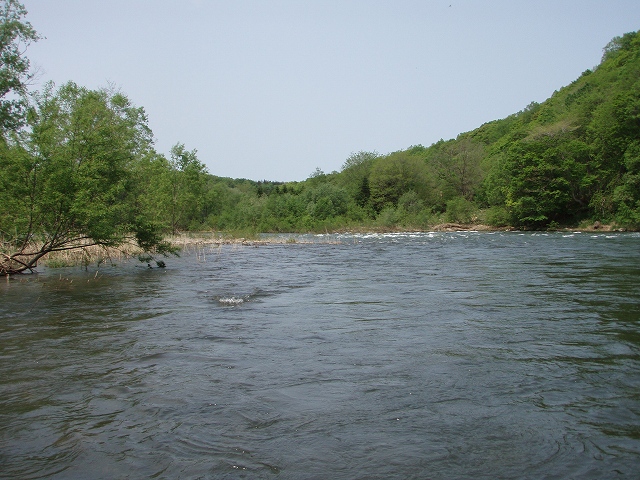 d0075843_2117132.jpg