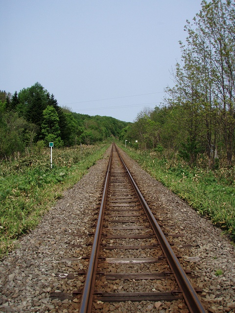 d0075843_2181996.jpg