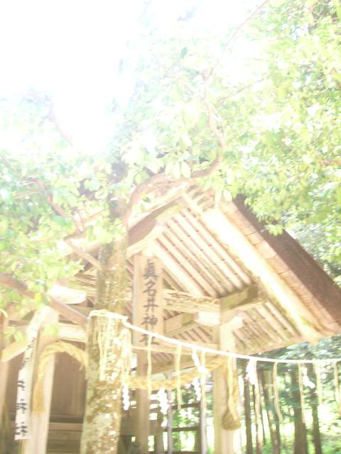 b0174844_2338549.jpg