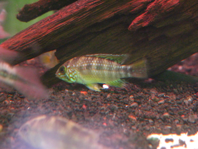 f0198950_2051589.jpg