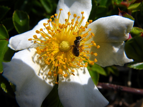 e0050753_22162421.jpg