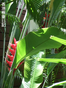 f0190653_1136591.jpg
