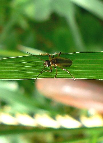 d0091754_3442663.jpg