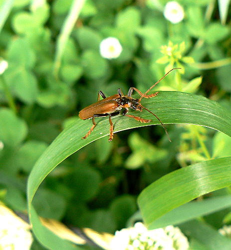 d0091754_373677.jpg
