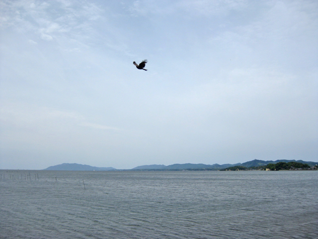 f0183656_1016950.jpg