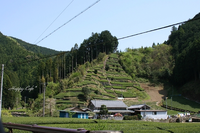 e0148667_1531483.jpg