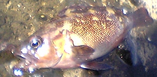 a0096669_22232154.jpg