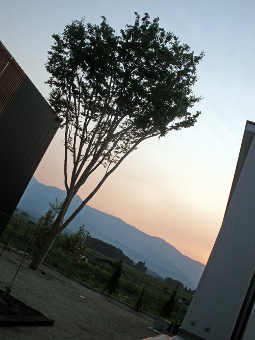 b0125570_1374971.jpg