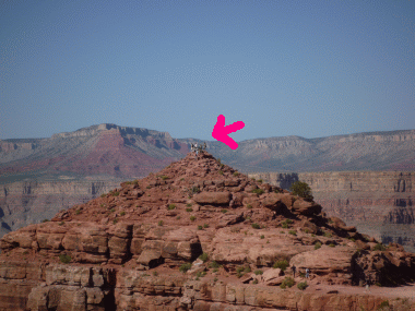 f0186671_6261463.gif