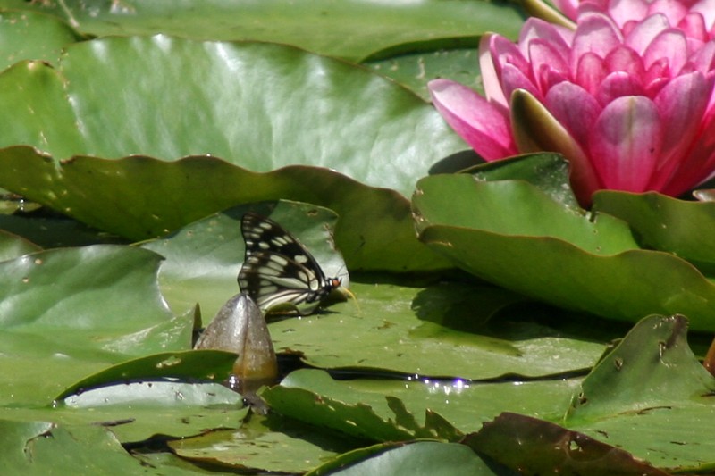 b0088772_22555622.jpg