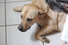 f0004775_636543.jpg