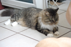 f0004775_637122.jpg