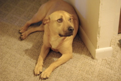 f0004775_793447.jpg