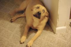 f0004775_79556.jpg