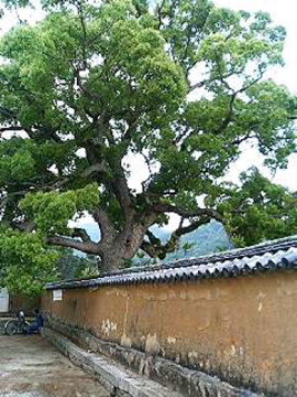 f0054677_8405930.jpg