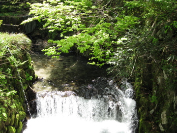 b0174079_21573748.jpg