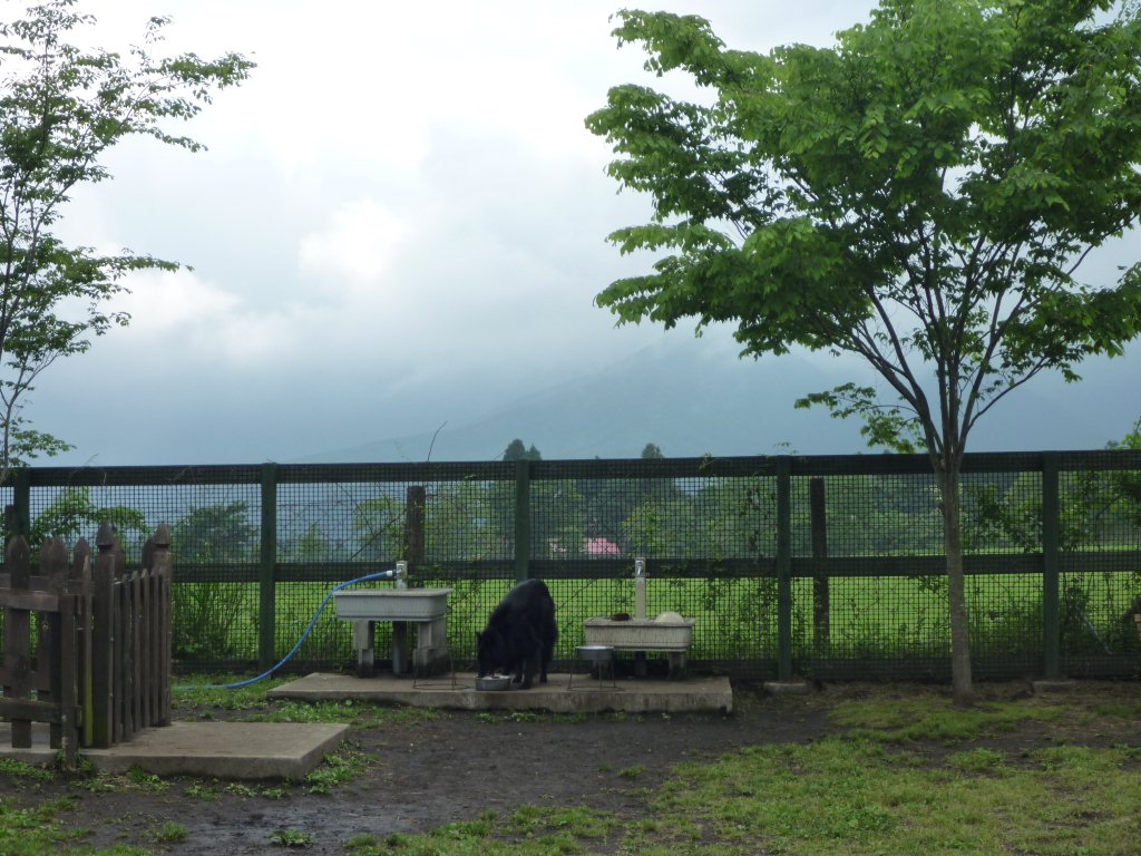 c0052779_0192013.jpg