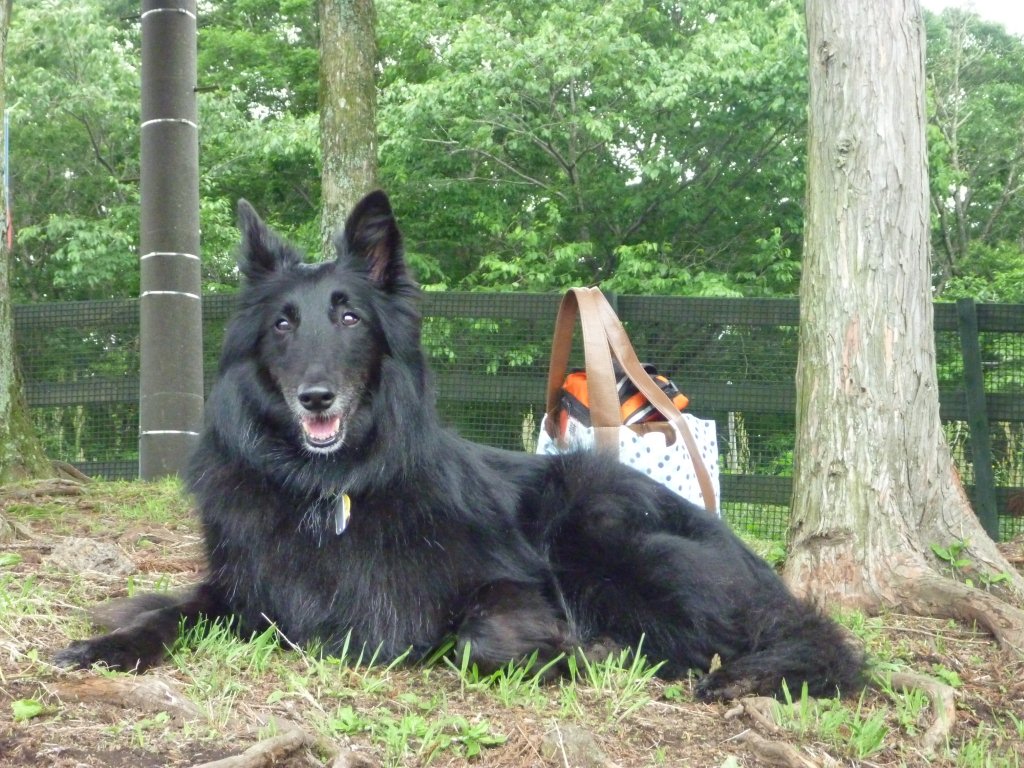 c0052779_029976.jpg