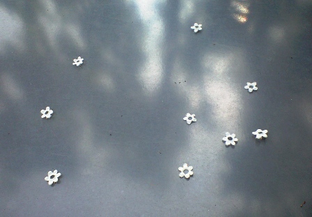 a0091680_10554678.jpg