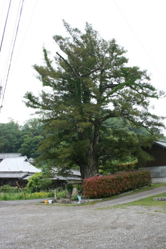 b0118987_6403517.jpg
