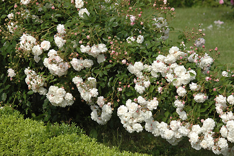 c0026690_23455434.jpg