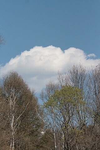 d0133693_1850556.jpg