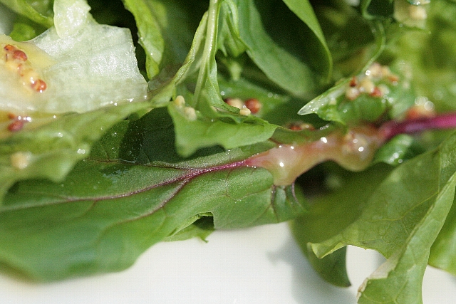 d0133693_18511861.jpg