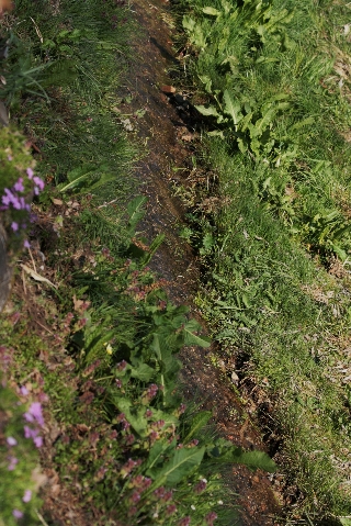d0133693_18523641.jpg
