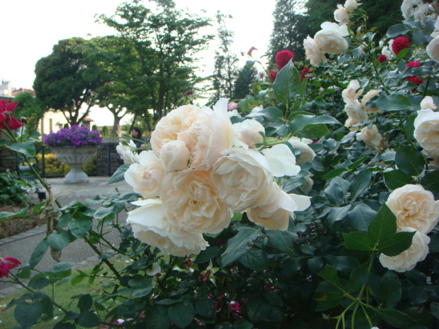 f0137694_12154029.jpg