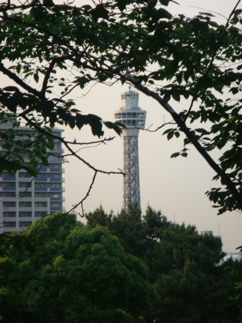 f0137694_12273933.jpg