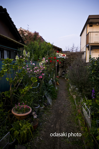 c0165495_10115488.jpg
