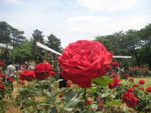 f0201297_23342569.jpg