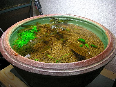 f0200298_14372857.jpg