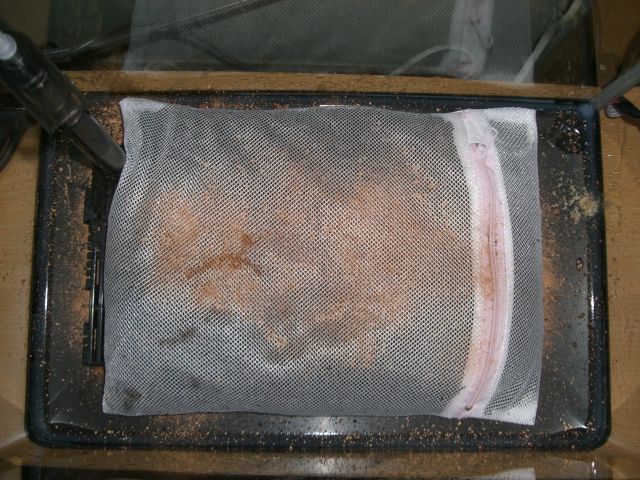 b0175402_23304988.jpg