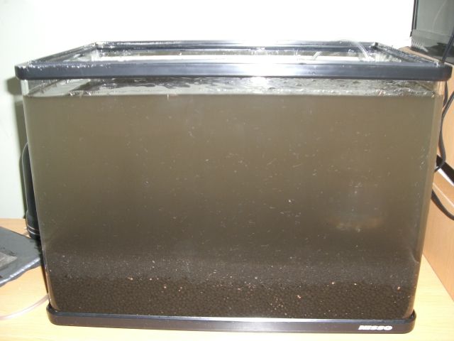 b0175402_23351164.jpg