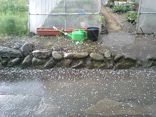c0163102_2102715.jpg
