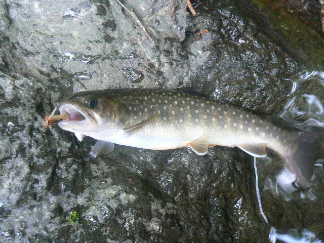 f0164503_16573570.jpg