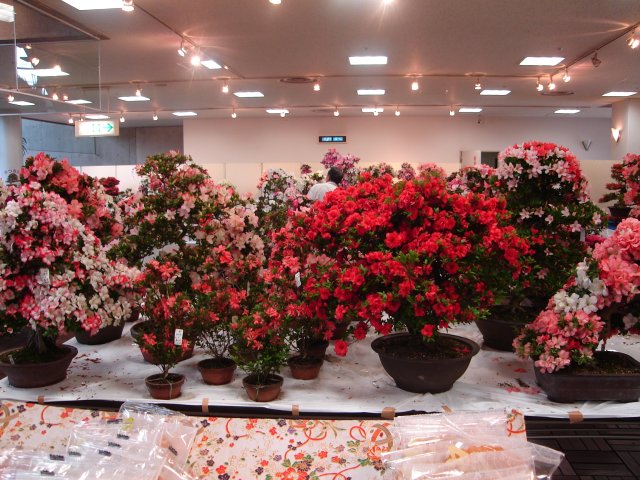 a0116205_22331394.jpg