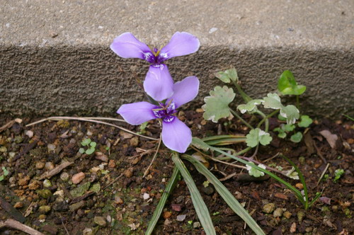 b0052108_13385167.jpg
