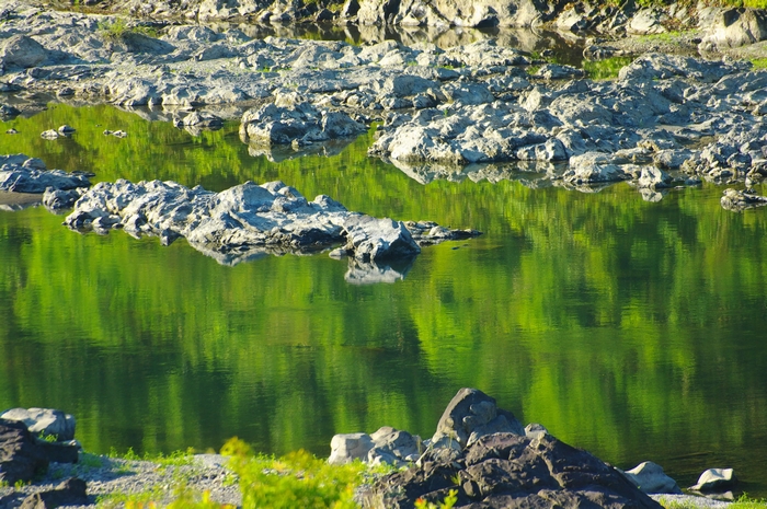c0146510_14584528.jpg